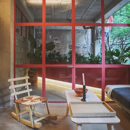Xolo Condesa