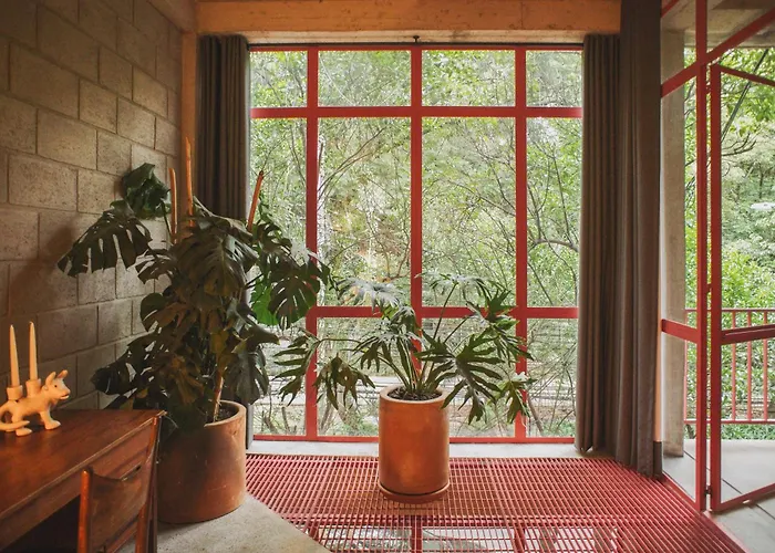 Xolo Condesa 4*
